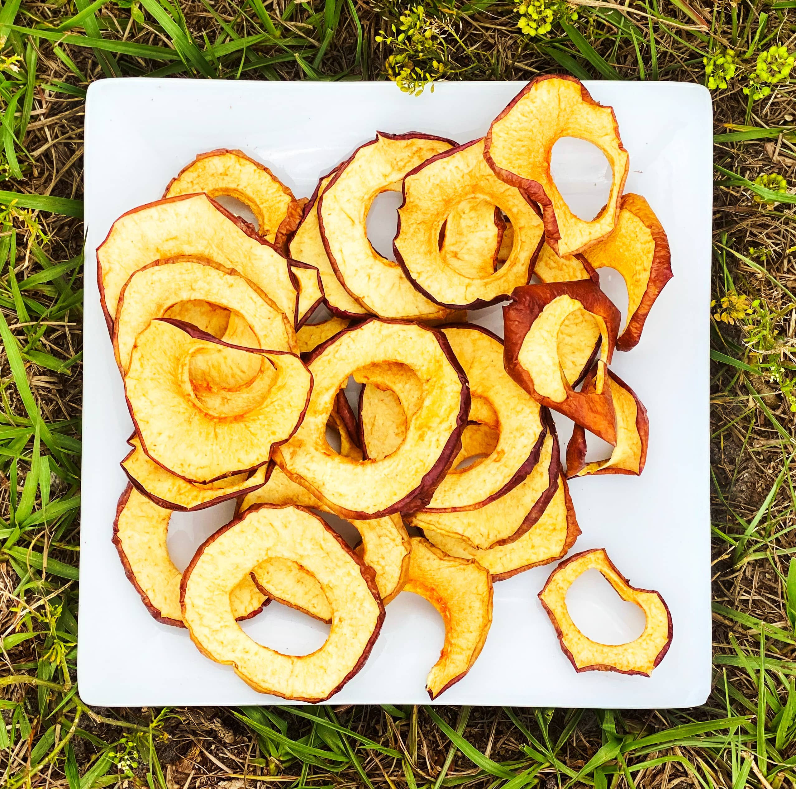 Dehydrated Apple Rings