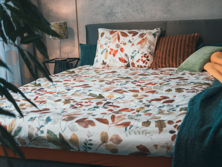 Pflanzen im Schlafzimmer - Was sie wirklich bringen – und welche du besser meidest