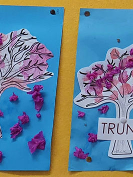 Cherry blossom trees by primary 1.