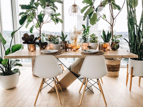 How to get your plants to like you - General houseplant advice