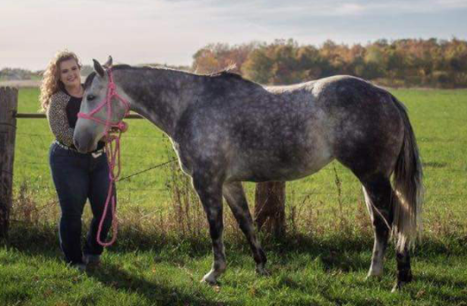 Shesa Special Beau - 2012 Grey Mare
