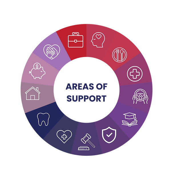Copy of areas of care (1).png