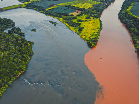 Turismo e Patrimônio Cultural: Conexão entre Geoglifos da Amazônia e o Futuro do Setor