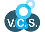 vcs.png