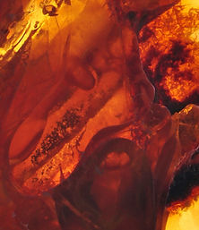 Epilation debut (1)_edited.jpg