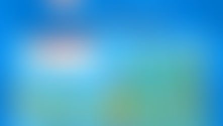 ¡ La Navidad ya llegó! 
