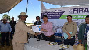FIRA y CIMMYT impulsan en Tlaxcala estrategia “Acción por el Suelo”
