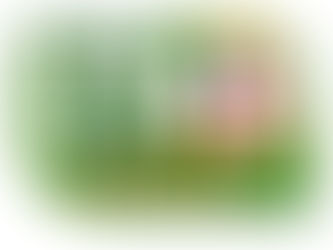 II CONGRESO DE EDUCADORES“SAGRADA FAMILIA”