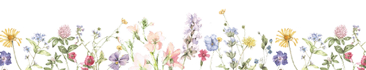 フラワーリボン.png