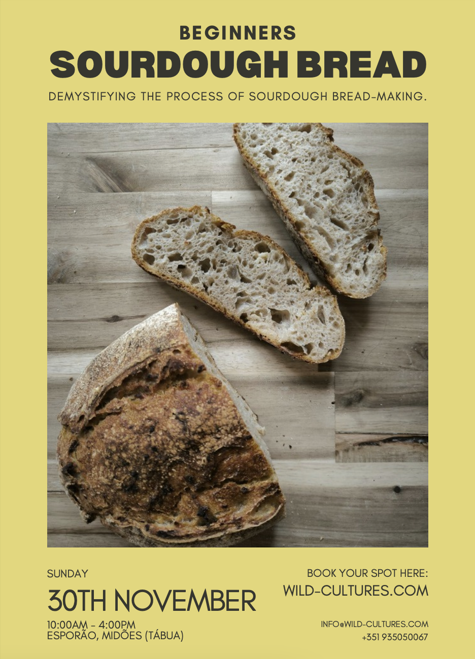 Sourdough Bread Workshop [English]. Midões, Tábua.