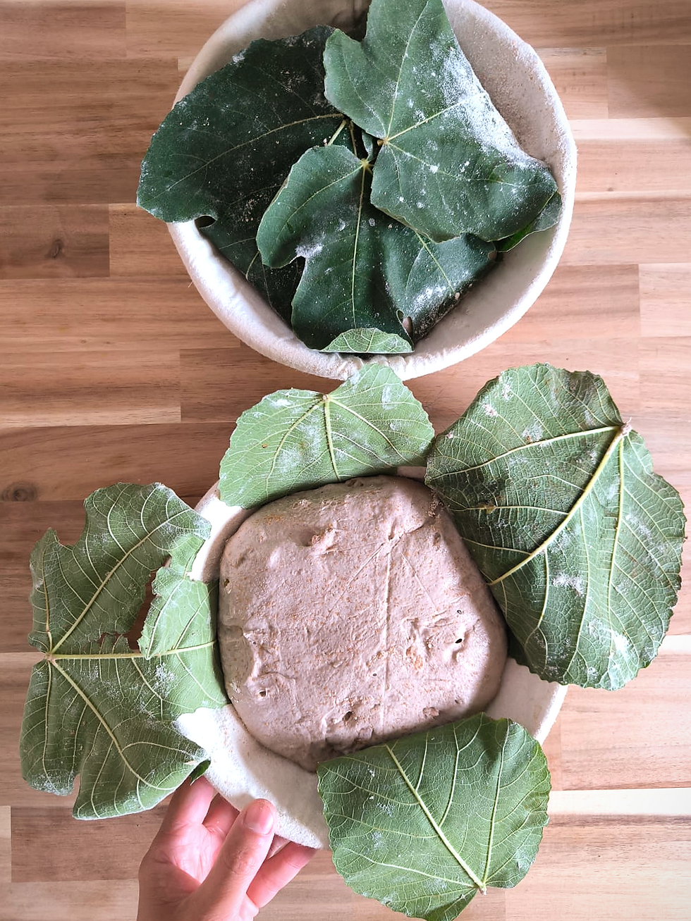 Thumbnail: Honey Roasted Walnut + Fresh Fig Barbela