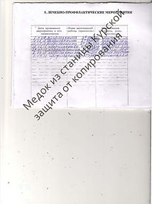 Профилактика2.jpg