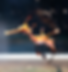 Weedy Seadragon