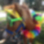 13781783_1266549656714463_6199584006734860355_n.jpg