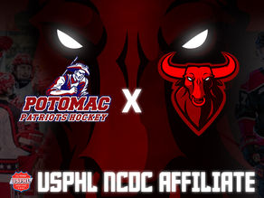 BULLS AFFILIATE WITH POTOMAC PATRIOTS OF UPSHL PREMIER