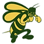 20x20hornetslogo copy.png