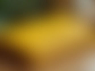 Money Management & Wealth Secrets Through Vedic Astrology