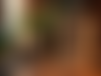 Panchmukhi Hanuman Mantra & Frame for Protection and Success