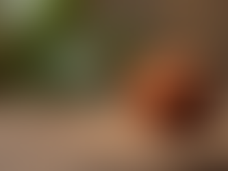 Ganesh Lakshmi Rudraksha Samriddhi Kit for Wealth, Peace & Positive Energy