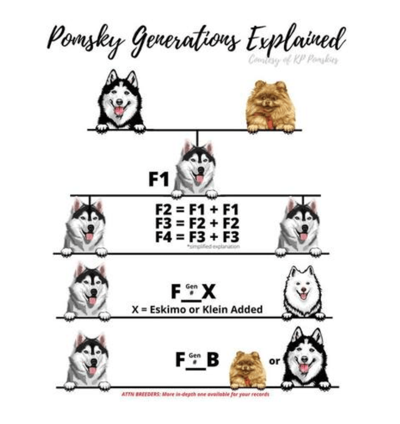 7a1c66_7245d36f15c04d17997a134b1cd457c5-mv2.png.webp