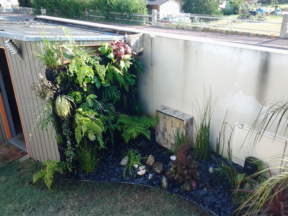 20130721_184144.jpg