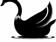 ברבור שחור - ניהול סיכונים.png