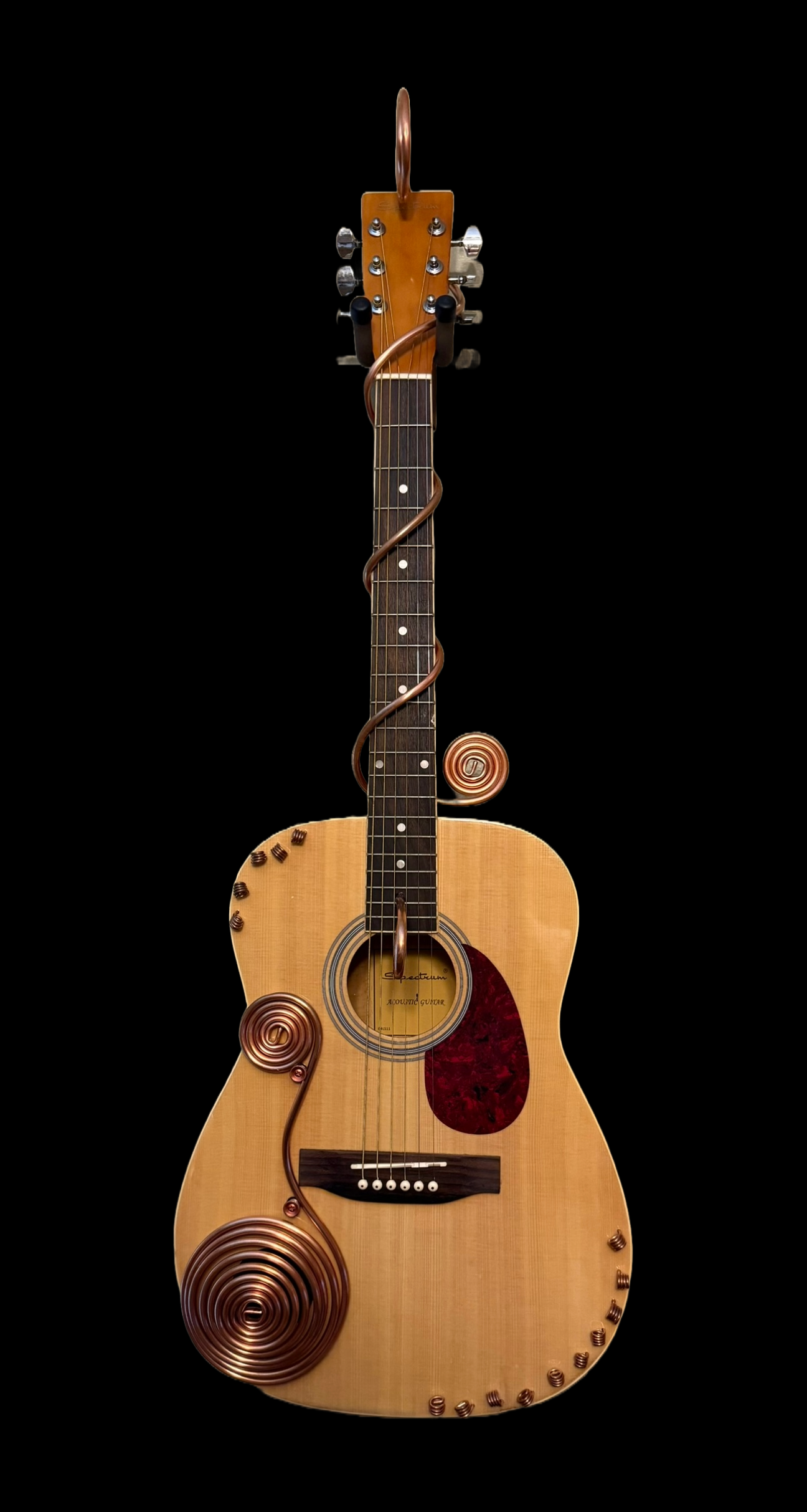 Guitar  - Spectrum Acoustic