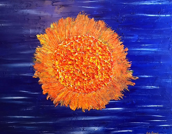 Funky Flowers - The Sun