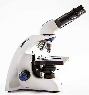 Microscope