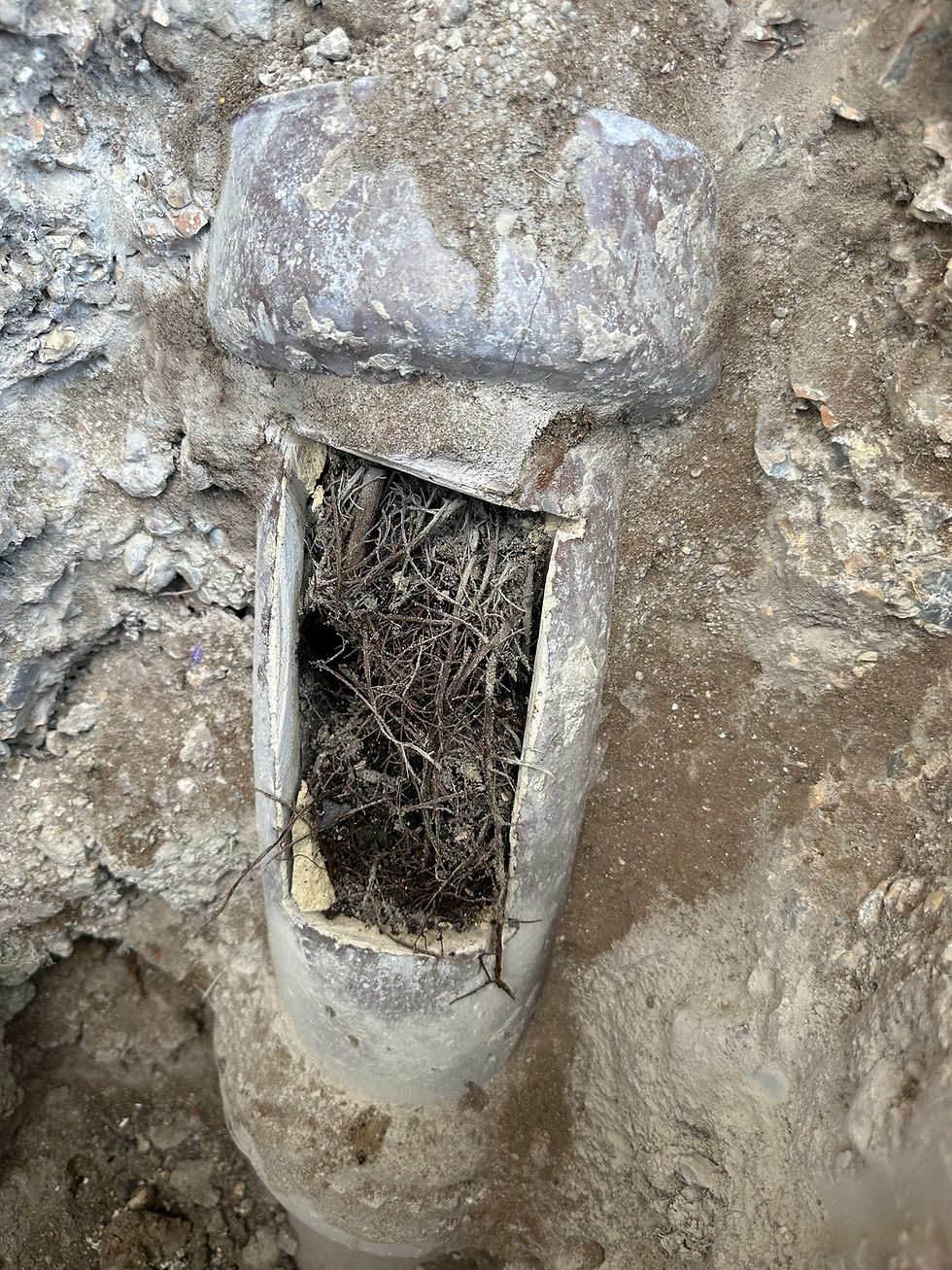 Whats Blocking your drain?