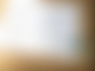 Charte des élu·es Blois en Commun