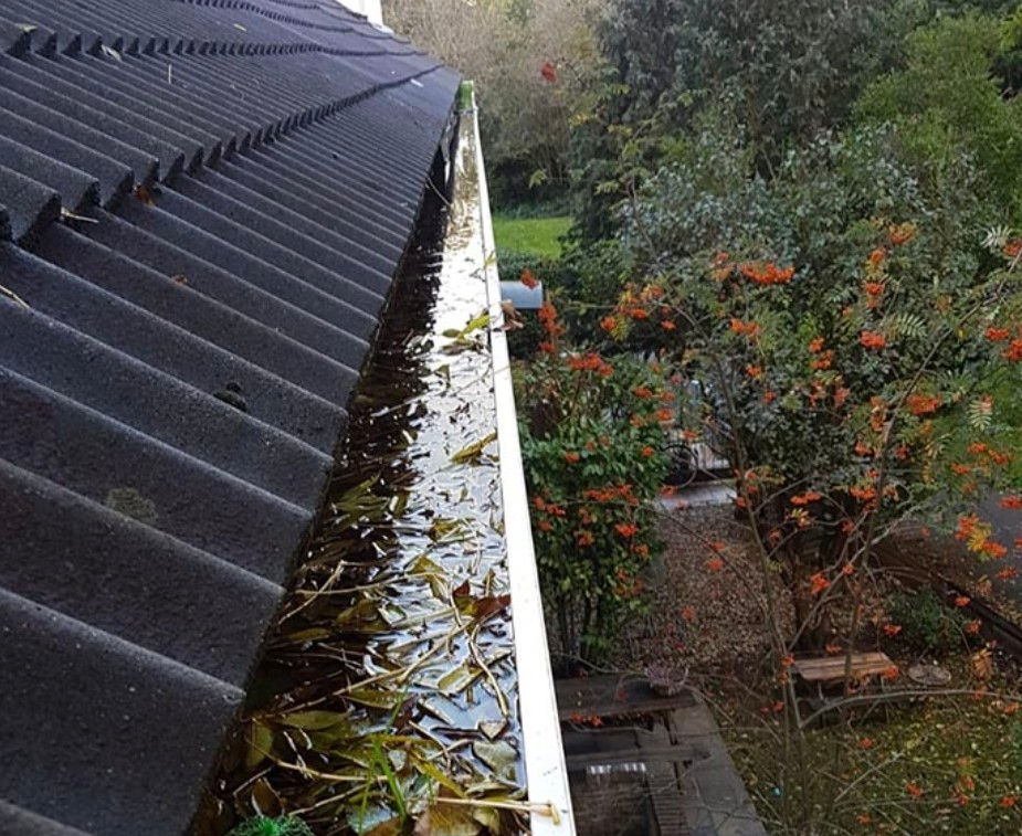 Limpieza Canalones Santiago Compostela