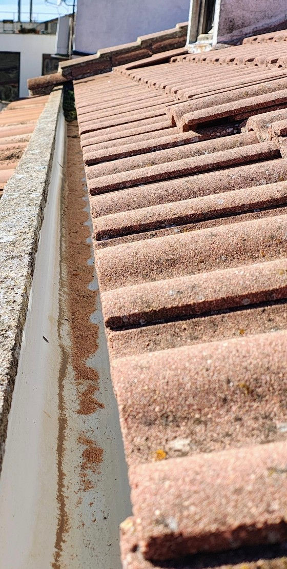 Limpieza Canalones Ourense