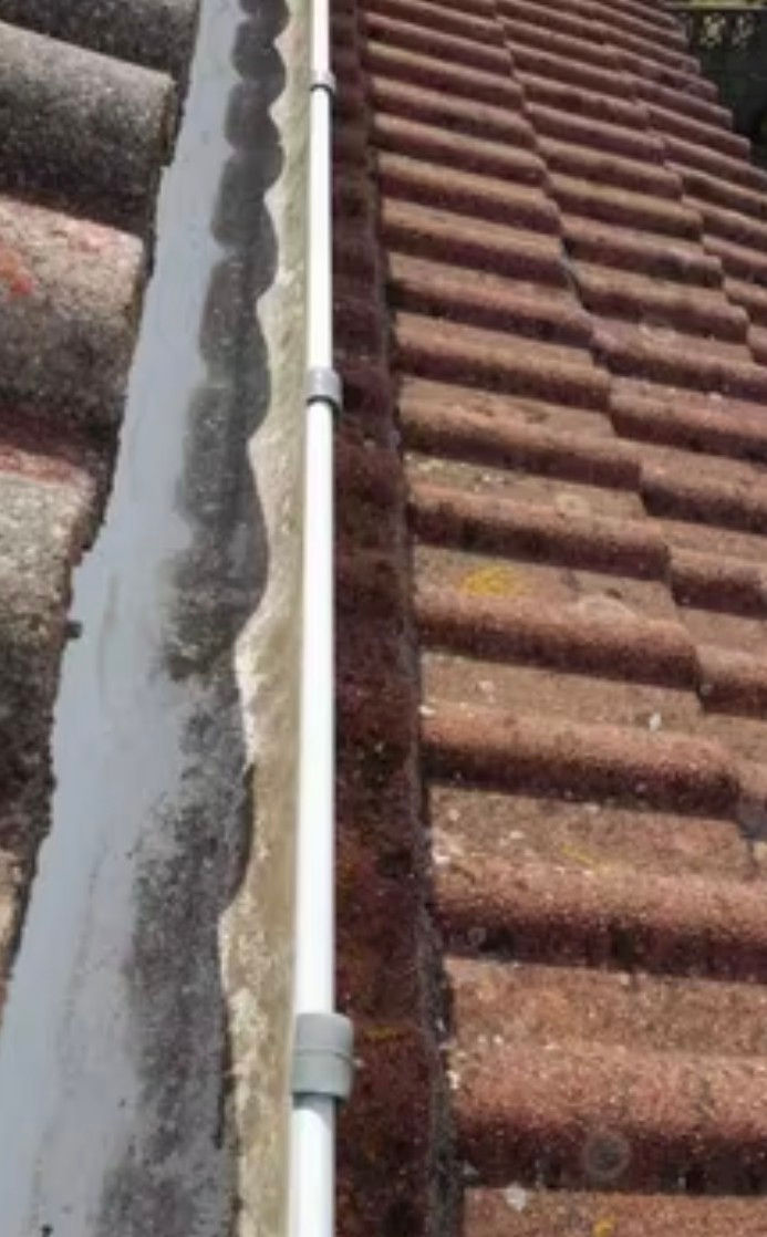 Limpieza Canalones Ourense