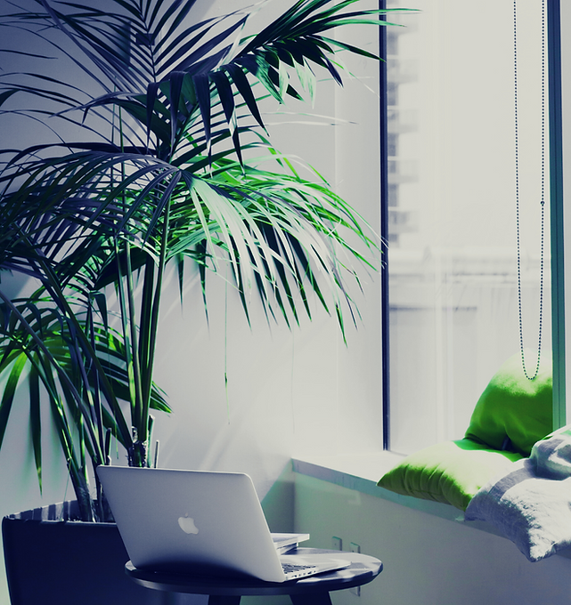 Home office with plants