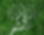 Green Hydrogen, H2MB