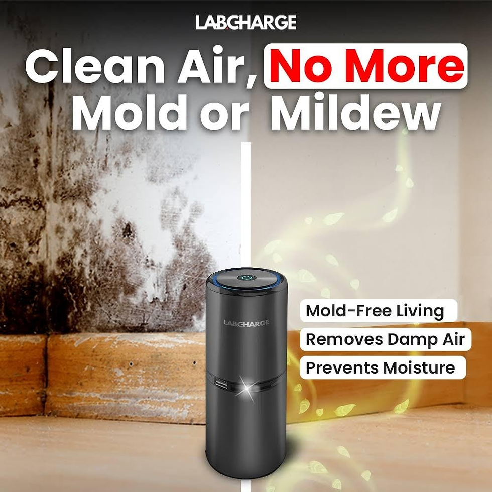 Thumbnail: Ionic Air Purifier for Home & Bedroom - HEPA Filter, Covers 250 Sq Ft, Pack of 2