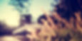 slider buddhi methode.jpg