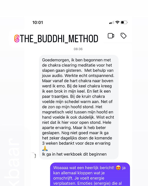 De Buddhi Methode recensie 1_edited.jpg