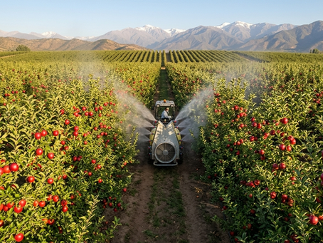 Mezcla de silicio con fertilizantes: qué conviene