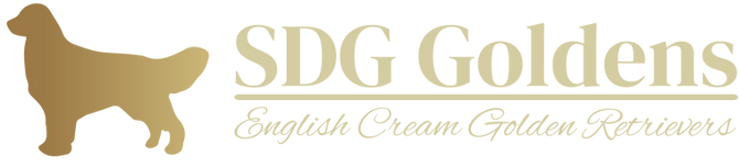 sdg-goldens-high-resolution-logo-transparent (3).png