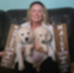 Two English Retrievers headed home to Scottsdale, Arizona