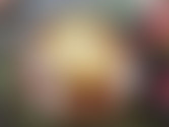 スペシャルに美味しいロールケーキ🎂