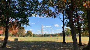 旅のお手伝いもしています✈🚃👜