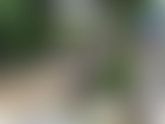 加賀百万石の歴史的文化遺産・💛💛💛