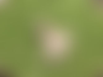 てるてる坊主様💛💛💛ありがとう