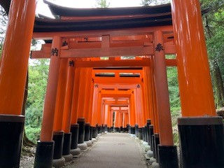伏見稲荷大社・・・⛩⛩⛩⛩⛩