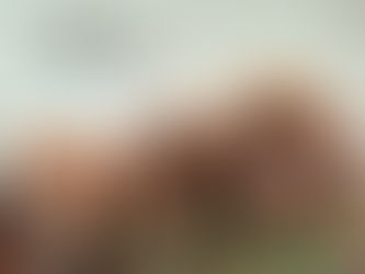 仲良し3人組のcooking女子会🍳🍚🥢