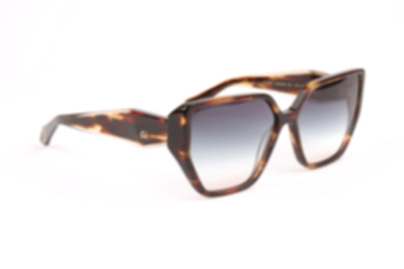 Ana Hickmann AH 9432 E01