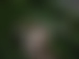 How Forest Bathing Can Gently Support Loneliness